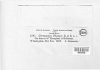 Image Associated With the Occurence